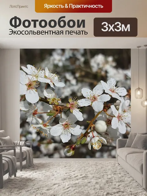 Фотообои Сакура