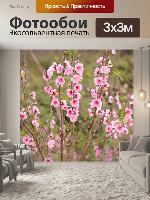 Фотообои Персик