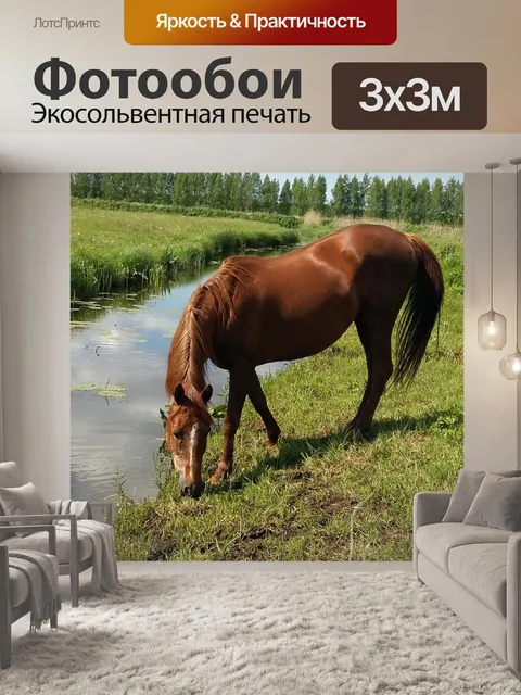 Фотообои Лошадь