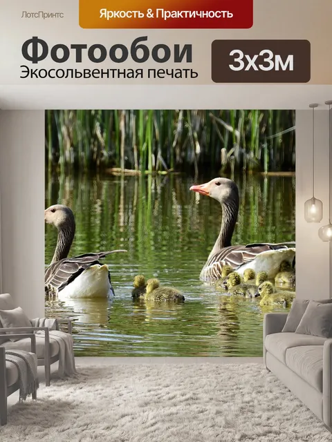 Фотообои Озеро