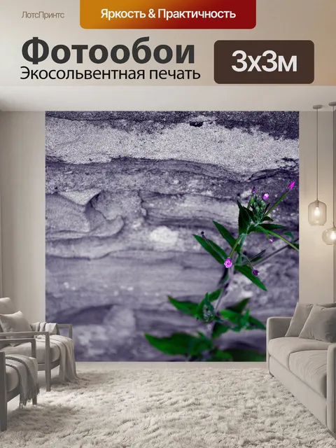 Фотообои Цветы на стене
