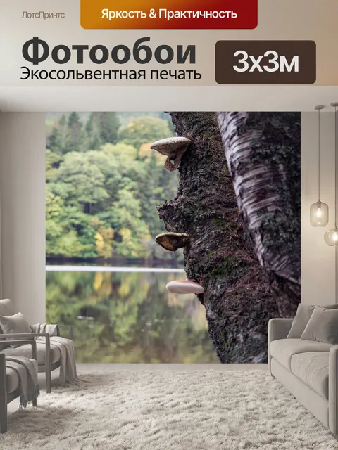 Фотообои Природа