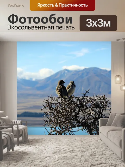 Фотообои Птицы