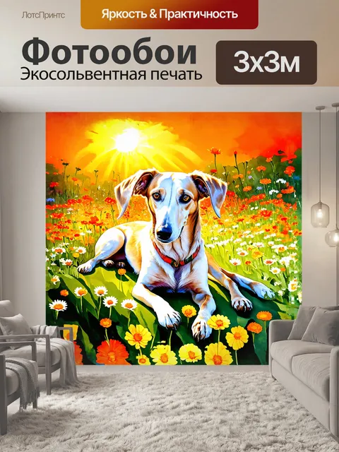 Фотообои собака, гибрид салюки, лежит на поле цветов, её мелкие детали - уши и лапы свободно касаются пёстрых цветков