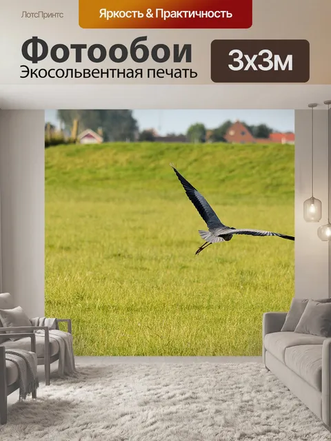 Фотообои Птицы