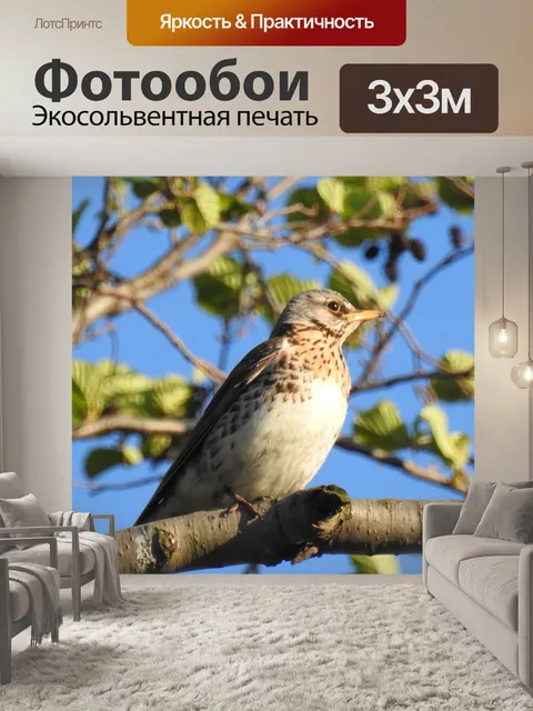 Фотообои Природа