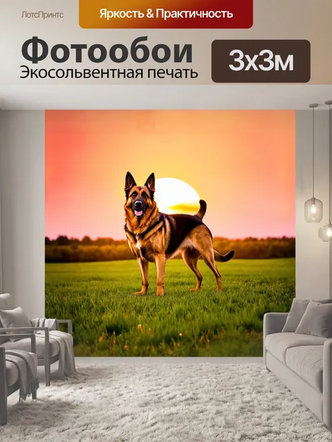 Фотообои величественная немецкая овчарка