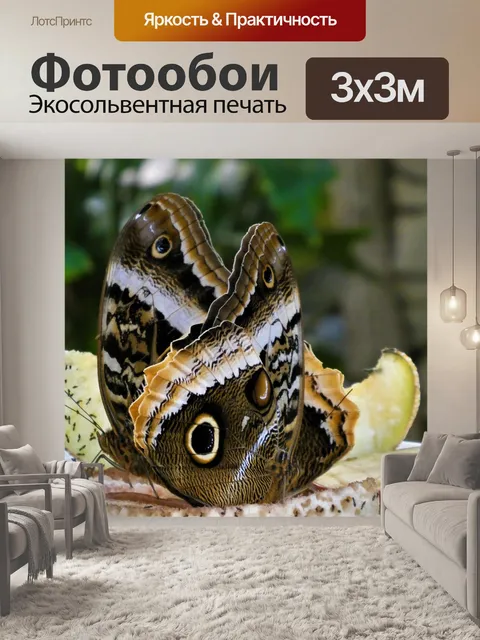 Фотообои Бабочка