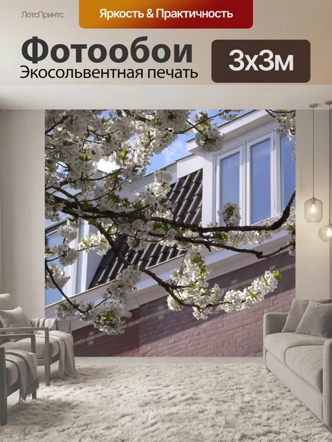 Фотообои Цветущие вишни