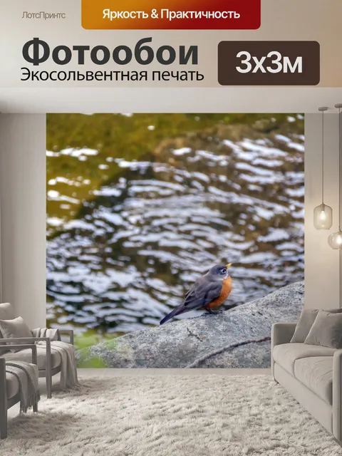 Фотообои Робин