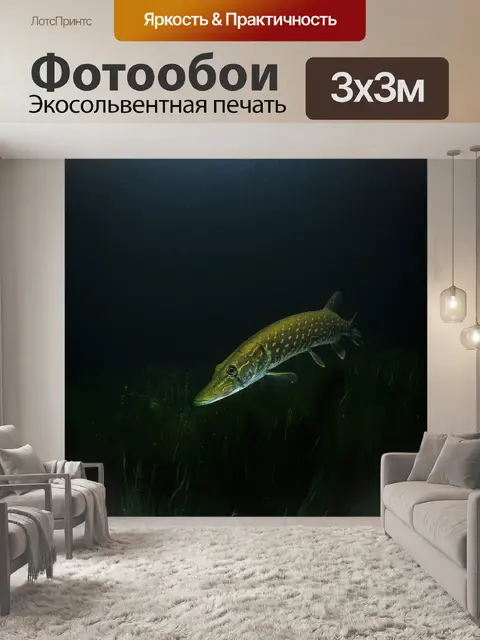 Фотообои Щука