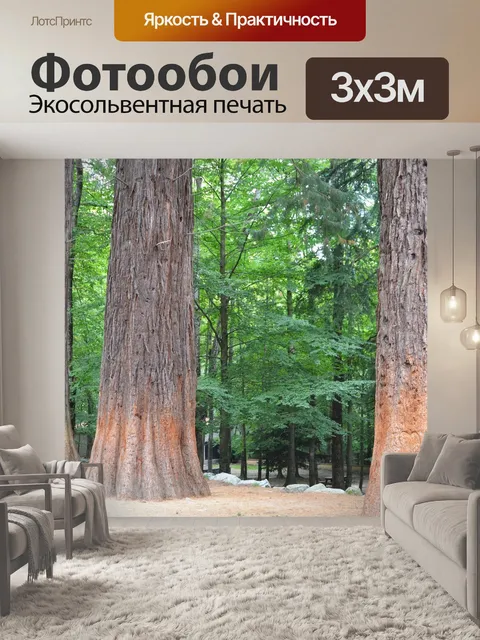 Фотообои Секвойя