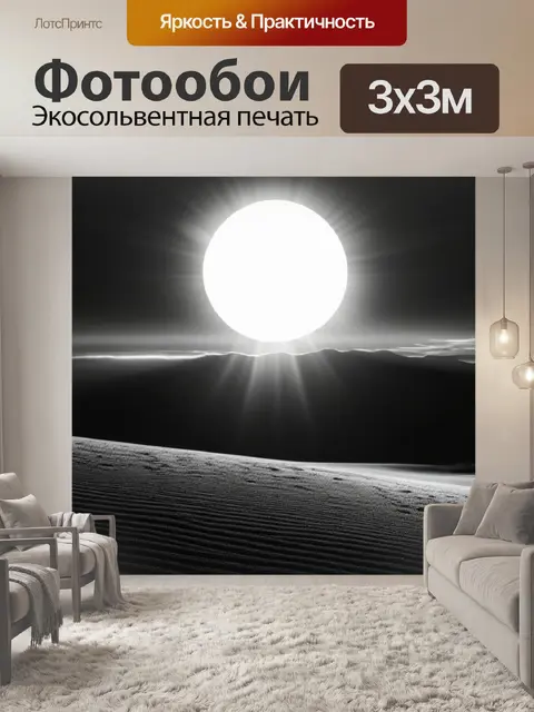 Фотообои с солнцем чернобелый