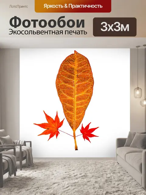Фотообои Осенние листья