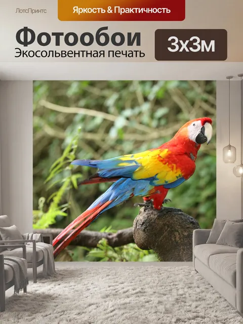 Фотообои Птицы