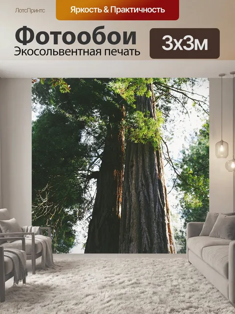 Фотообои Деревья