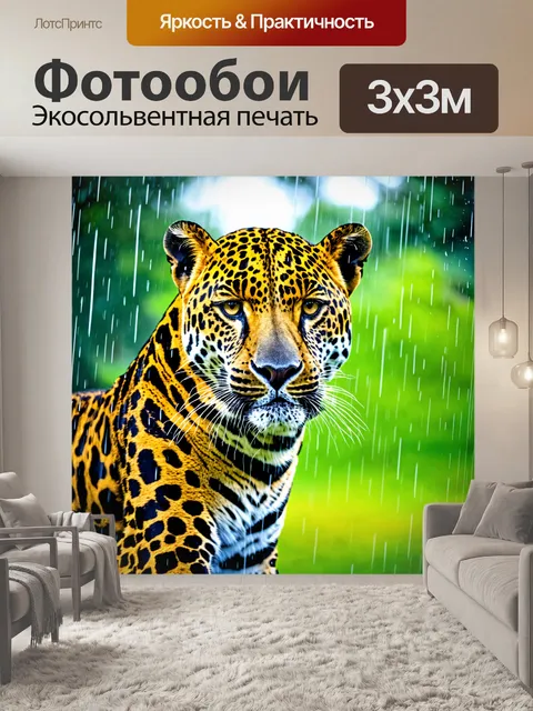 Фотообои летний дождь: леопард, играющий в каплях дождя