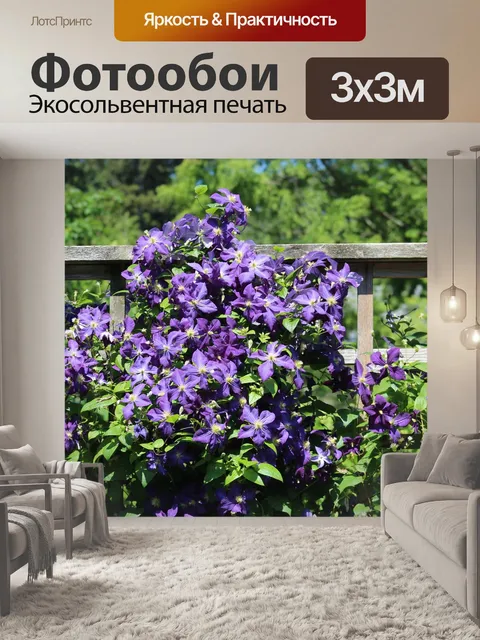Фотообои Цветы
