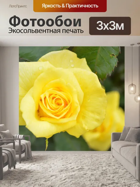 Фотообои Розы