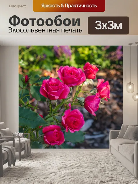 Фотообои Розы