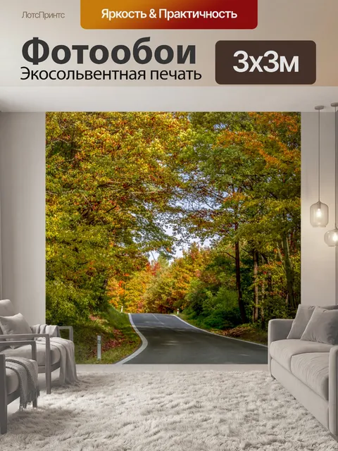 Фотообои Осенняя дорога