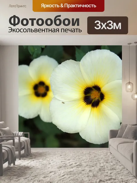 Фотообои красота цветов