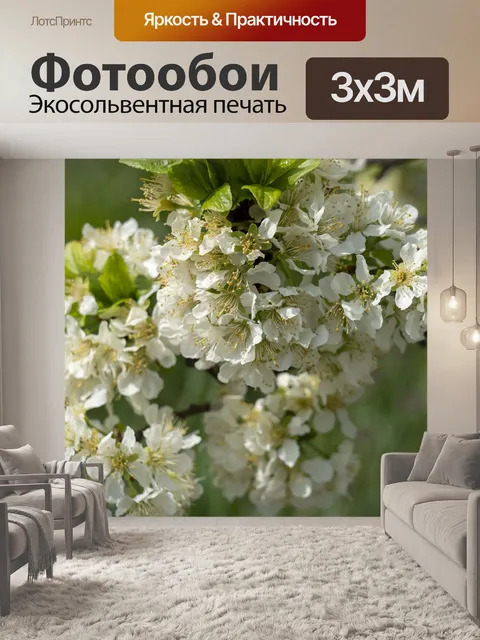 Фотообои Цветы