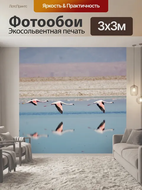 Фотообои Фламинго