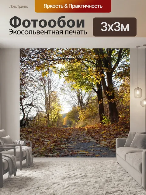 Фотообои Грязная дорога