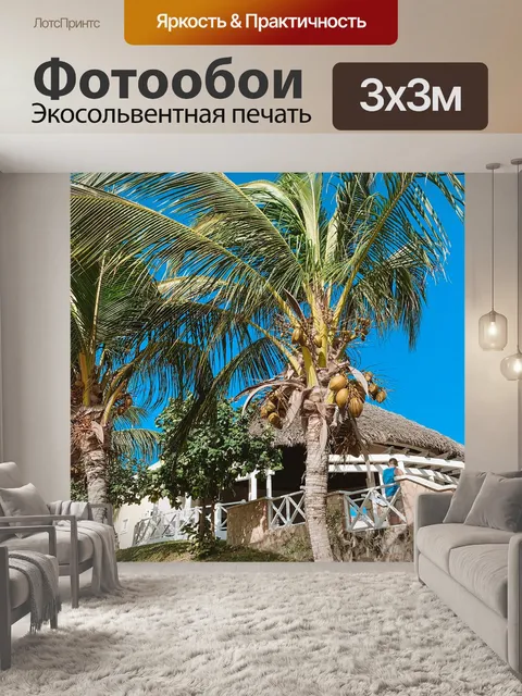 Фотообои Пальмы