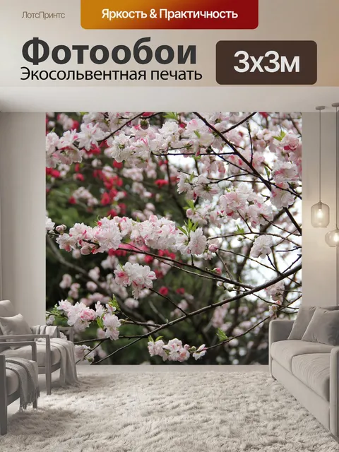 Фотообои Сакура