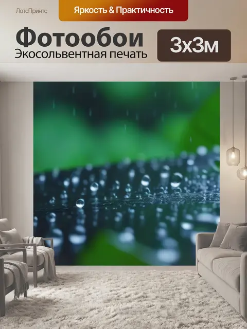 Фотообои лес в дождь: капли, как музыка