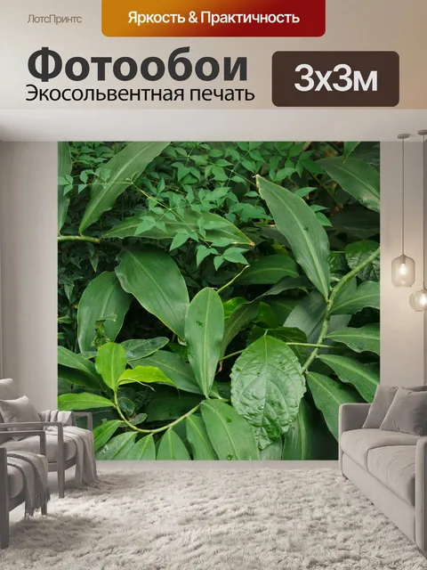 Фотообои зеленая растительность