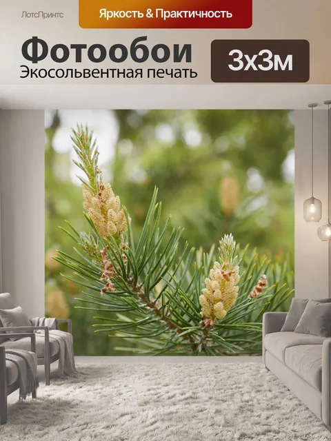 Фотообои Лес