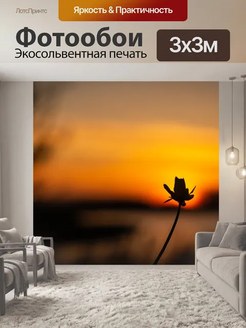 Фотообои Закат