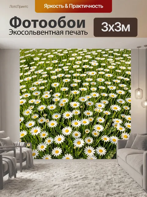 Фотообои Поле ромашек летом