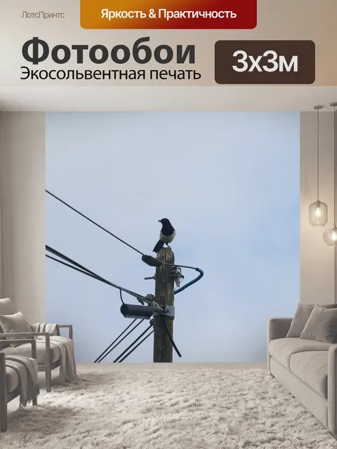 Фотообои Телефонный столб и сорока