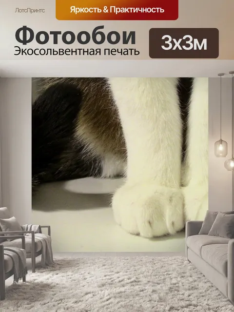 Фотообои Кот