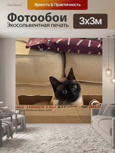 Фотообои Сиамский
