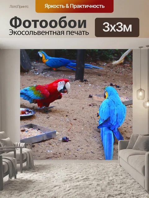 Фотообои Птицы