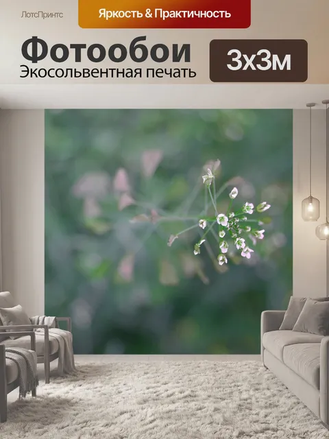Фотообои Цветок