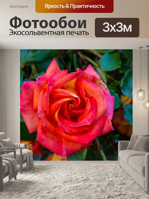 Фотообои Розы