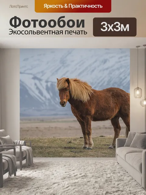 Фотообои Лошадь