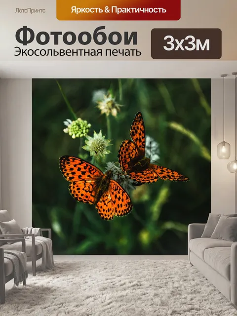 Фотообои Бабочки
