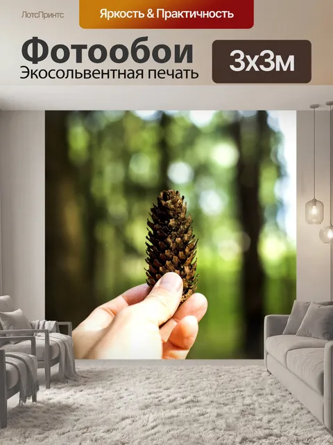 Фотообои Пихтовая шишка, еловая шишка, шишка ели