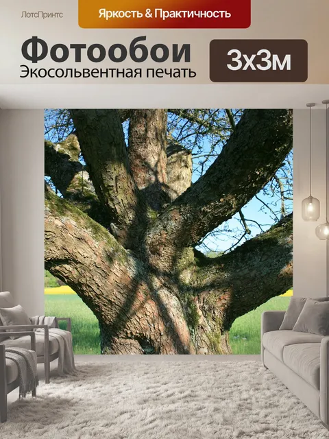 Фотообои Дерево