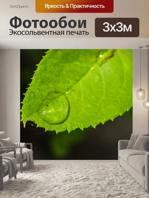 Фотообои Роза в саду
