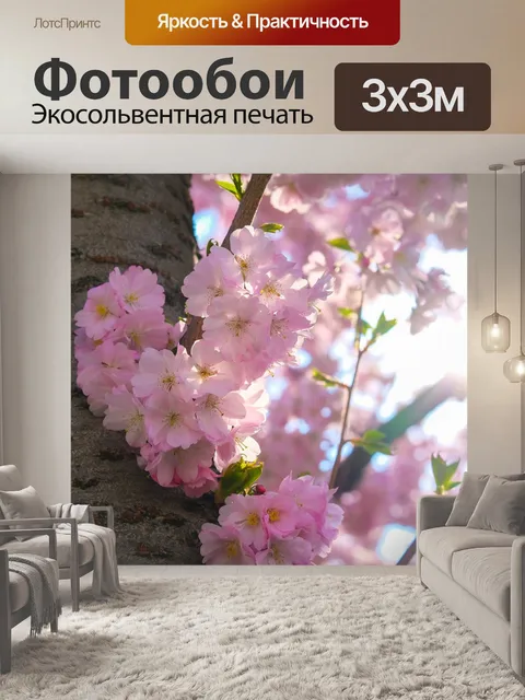 Фотообои Сакура