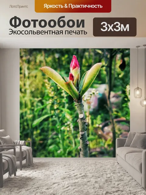 Фотообои Маленький