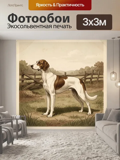 Фотообои Охотничья собака в поле